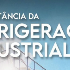 Design sem nome (27)