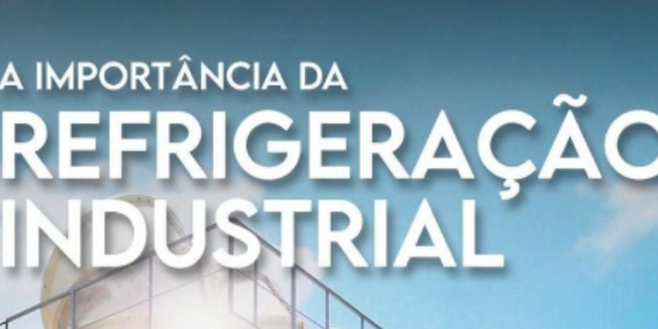 Design sem nome (27)